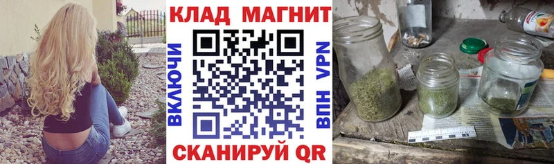 APVP Муром