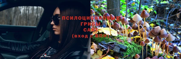 прущая мука Заволжье