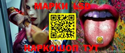 ALPHA PVP Камышлов