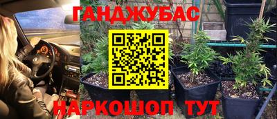 прущие крисы Кандалакша