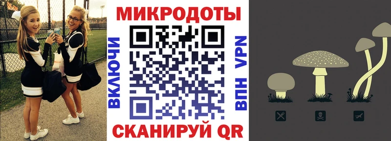 сколько стоит Муром Галлюциногенные грибы мицелий